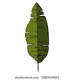Vector illustration. Hand drawn. Tropical palm leaf isolated on white background. 