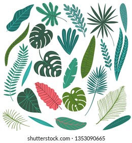 Vector illustration of hand drawn tropical leaves, flowers elements for cards, greeting cards, prints, posters, t-shirts design