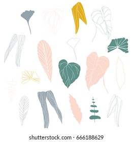 
Vector illustration with hand drawn tropical leaves .
Thin lines different leaves in pastel colors isolated on white background