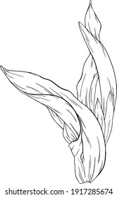 Ilustración vectorial de las flores de tulipán dibujadas a mano. Elemento de ilustración aislado