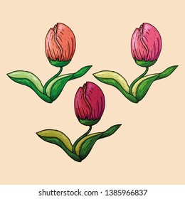 Vector illustration. Hand drawn tulips. Spring flowers with leaves.