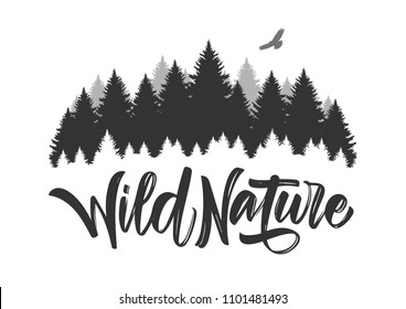 Vector illustration: Hand drawn type lettering of Wild Nature with silhouette of Pine Forest and Hawk. Brush calligraphy. Typography design.