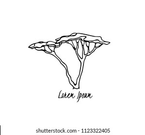 Vector illustration of  hand drawn Umbrella Thorn Acacia. Beautiful design elements, ink drawing, logo template