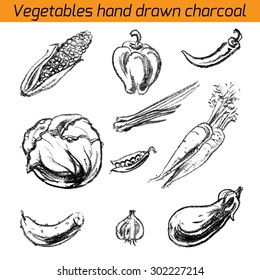 Vector illustration with hand drawn vegetable charcoal. Design of restaurants, a grocery store. Vintage set vegetables.