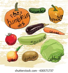 Vector illustration of hand drawn vegetables set. Watercolor effects.