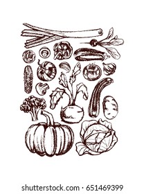 Vector illustration of hand drawn vegetables. Vegetarian, healthy food illustration. Beautiful design elements, charcoal drawing