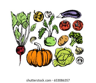 Vector illustration of hand drawn vegetables. Vegetarian, healthy food illustration. Beautiful design elements, charcoal drawing