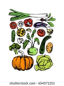 Vector illustration of hand drawn vegetables. Vegetarian, healthy food illustration. Beautiful design elements, charcoal drawing