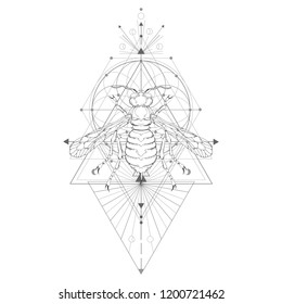 Vector illustration with hand drawn wasp and Sacred geometric symbol on white background. Abstract mystic sign. Black linear shape. For you design: tattoo, print, t-shirts, textiles and magic craft.