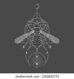 Vector illustration with hand drawn wasp and Sacred geometric symbol on black vintage background. Abstract mystic sign. White linear shape. For you design: tattoo, print, posters, t-shirts, textiles.