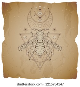 Vector illustration with hand drawn wasp and Sacred geometric symbol on vintage paper background with torn edges. Abstract mystic sign. For you design: tattoo, print, posters, t-shirts, textiles.