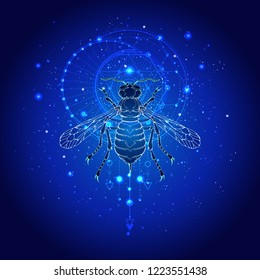 Vector illustration with hand drawn wasp and Sacred geometric symbol against the starry sky. Abstract mystic sign. Linear shape. For you design: tattoo, print, posters, t-shirts, textiles and other.