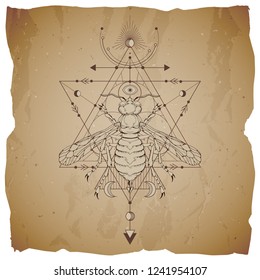 Vector illustration with hand drawn wasp and Sacred geometric symbol on vintage paper background with torn edges. Abstract mystic sign. Sepia linear shape. For you design.