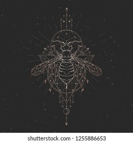 Vector illustration with hand drawn wasp and Sacred geometric symbol on black vintage background. Abstract mystic sign. Gold linear shape. For you design: tattoo, print, posters, t-shirts, textiles.