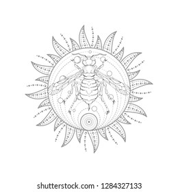 Vector illustration with hand drawn wasp and Sacred symbol Sun on white background. Abstract mystic sign. Black linear shape. For you design, tattoo or magic craft.