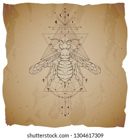 Vector illustration with hand drawn wasp and Sacred geometric symbol on vintage paper background with torn edges. Abstract mystic sign. Sepia linear shape. 