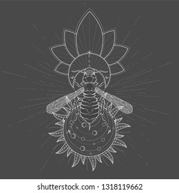 Vector illustration with hand drawn Wasp and Sacred symbol on black background. Abstract mystic sign. White linear shape. For you design, tattoo or magic craft.