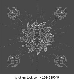 Vector illustration with hand drawn Wasp and Sacred symbol Sun on black background. Abstract mystic sign. White linear shape. For you design, tattoo or magic craft.