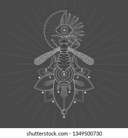 Vector illustration with hand drawn Wasp and symbol Half Moon on black background. Abstract mystic sign. White linear shape. For you design, tattoo or magic craft.
