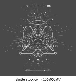 Vector illustration with hand drawn Wasp and Sacred geometric symbol on black background. Abstract mystic sign. White linear shape. For you design, tattoo or magic craft.