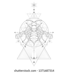 Vector illustration with hand drawn wasp and Sacred geometric symbol on white background. Abstract mystic sign. Black linear shape. For you design and magic craft.