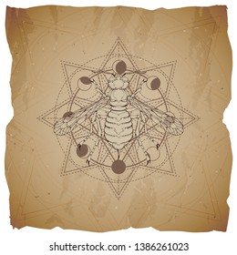 Vector illustration with hand drawn Wasp and Sacred geometric symbol on old paper background with torn edges. Abstract mystic sign. Sepia linear shape. For you design and magic craft.