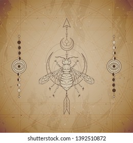 Vector illustration with hand drawn Wasp and Sacred geometric symbol on vintage paper background. Abstract mystic sign. Sepia linear shape. For you design and magic craft.