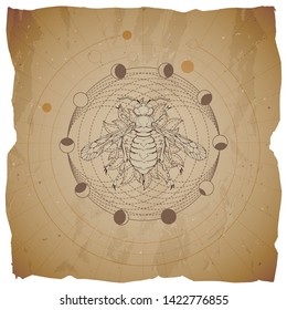 Vector illustration with hand drawn Wasp and Sacred geometric symbol on old paper background with torn edges. Abstract mystic sign.