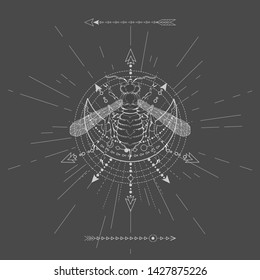 Vector illustration with hand drawn Wasp and Sacred geometric symbol on black background. Abstract mystic sign. White linear shape. For you design, tattoo or magic craft.
