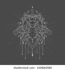 Vector illustration with hand drawn Wasp and Sacred geometric symbol on black background. Abstract mystic sign. White linear shape. For you design, tattoo or magic craft.