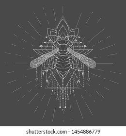 Vector illustration with hand drawn Wasp and Sacred geometric symbol on black background. Abstract mystic sign. White linear shape. For you design, tattoo or magic craft.