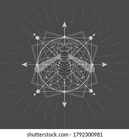 Vector illustration with hand drawn Wasp and Sacred geometric symbol on black background. Abstract mystic sign. 