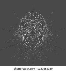 Vektorgrafik mit handgezeichnet Wasp und Sacred Geometric Symbol auf schwarzem Hintergrund. Abstraktes mystisches Zeichen. Weiße lineare Form.