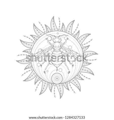 Vector illustration with hand drawn wasp and Sacred symbol Sun on white background. Abstract mystic sign. Black linear shape. For you design, tattoo or magic craft.