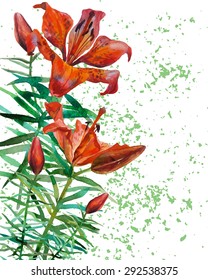 vector illustration hand drawn watercolor lilies and buds on an abstract background