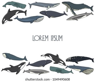 Vector illustration of hand drawn whales. Beautiful ink drawing, heavy contour. Perfect design elements, marine animal illustration