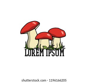 Vector illustration of hand drawn wild mushroom. Ink drawing, graphic style. Beautiful food design elements