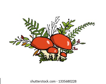 Vector illustration of hand drawn wild mushrooms with fern and other forest plants. Ink drawing, graphic style. Beautiful food design elements