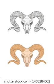 Vector illustration with hand drawn wild ram skull. Two variants: monochrome and colored. In realistic style. Isolated on withe background. For you design, tattoo or magic craft.