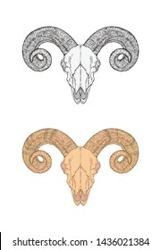 Vector illustration with hand drawn wild ram skull. Two variants: monochrome and colored. In realistic style. Isolated on withe background. For you design, tattoo or magic craft.