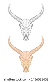 Vector illustration with hand drawn wild buffalo skull. Two variants: monochrome and colored. In realistic style. Isolated on withe background. For you design, tattoo or magic craft.