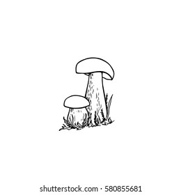 Vector illustration of hand drawn wild mushrooms. Ink drawing, graphic style. Beautiful food design elements. 