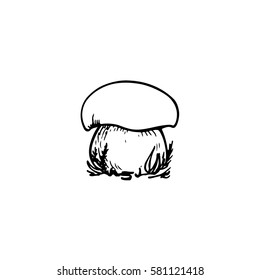 Vector illustration of hand drawn wild mushroom. Ink drawing, graphic style. Beautiful food design elements.