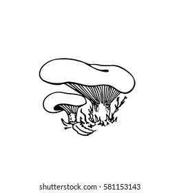 Vector illustration of hand drawn wild mushrooms. Ink drawing, graphic style. Beautiful food design elements.