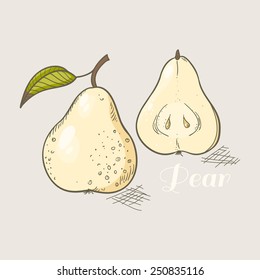 Vector illustration of hand drawn yellow pear