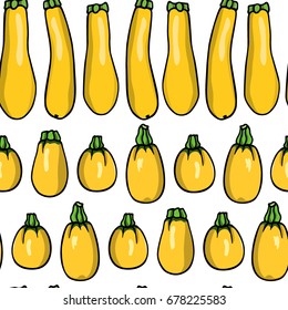 Vector illustration of hand drawn yellow zucchini varieties. Cool vegetable print, beautiful design elements