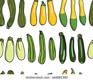 Vector illustration of hand drawn zucchini varieties. Cool vegetable print, beautiful design elements