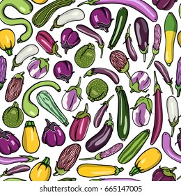 Vector illustration of hand drawn zucchini and eggplant varieties. Cool vegetable print, beautiful design elements