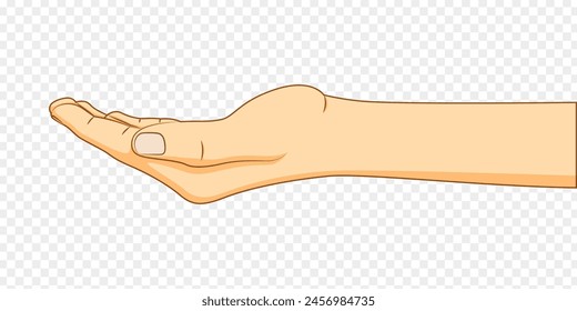 Vector illustration of hand gesture on transparent background