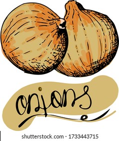 vector illustration. hand grafics. vegetables. retro style.